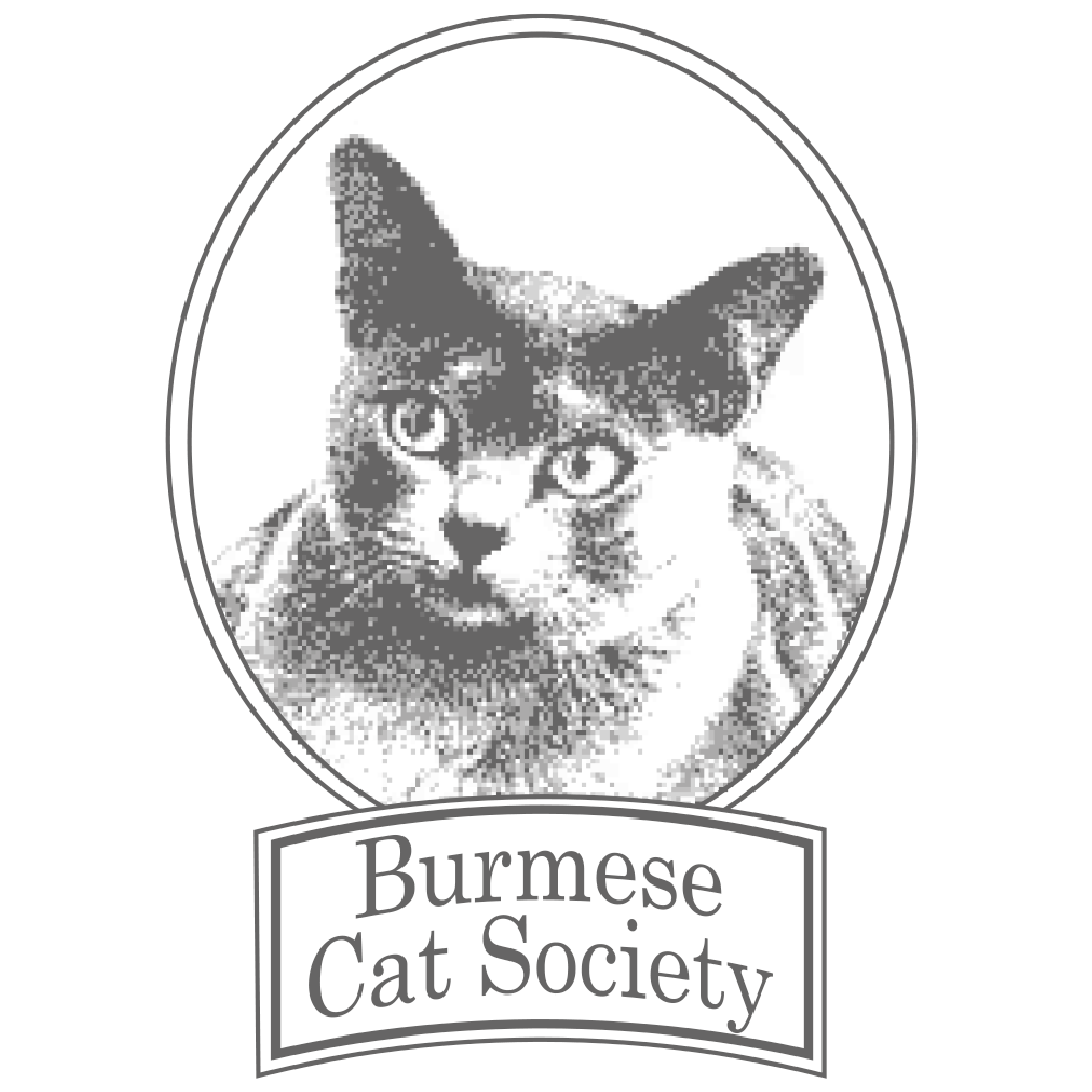 Burmese Cat Society